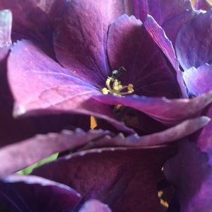 Meet your Posher, Christine